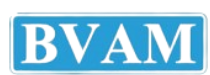 Business Valuers Association Malaysia